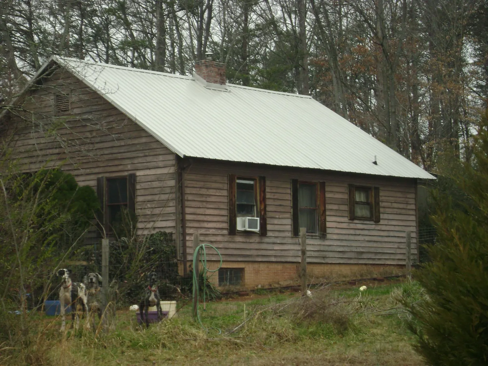 White metal roof on an old wood sided farmhouse, from a Asphalt Shingle Roof Repair job in Woodsfield